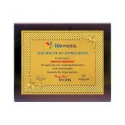 Certificate 3Trophy