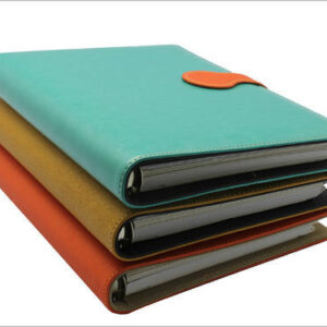 Corporate Diary