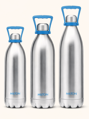 Duo Bottle With Handle Thermosteel