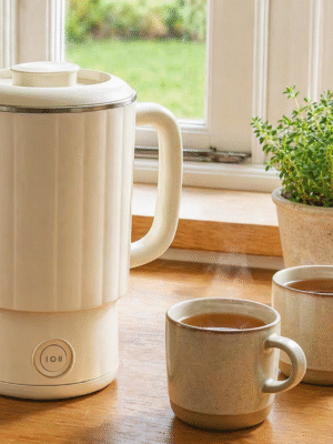 Rover Portable Electric Kettle & Cook Pot