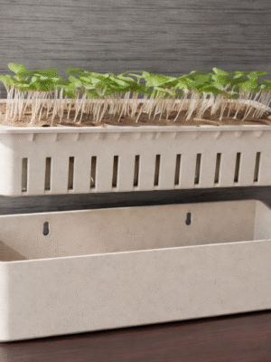 Terrarium Self Watering Plant Pot