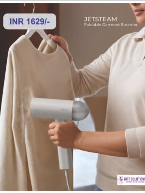 Foldable Garment Steamer